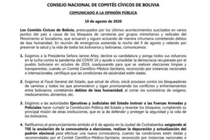 Áñez decline su candidatura para combatir el Covid-19