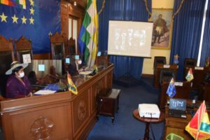 Ley de Elecciones Generales en el Senado de Bolivia