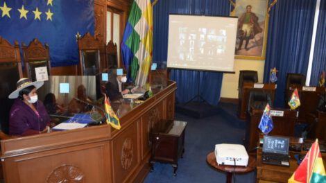 Ley de Elecciones Generales en el Senado de Bolivia