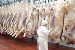 El Alto abastecimiento carne