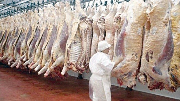 El Alto abastecimiento carne