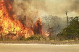 Incendios en la Chiquitanía reportados por la Gobernación cruceña