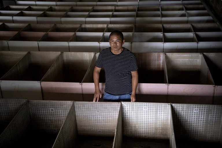Criadores de ratas y cobras comestibles en China