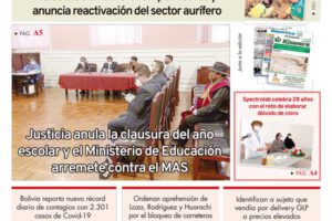 Edición PDF La Patria
