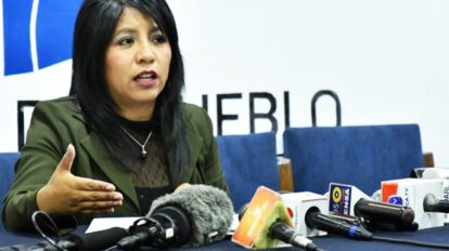 Nadia Cruz usurpación de funciones