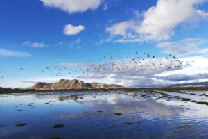 Día Internacional de la Fotografía en el Lago Uru - Uru
