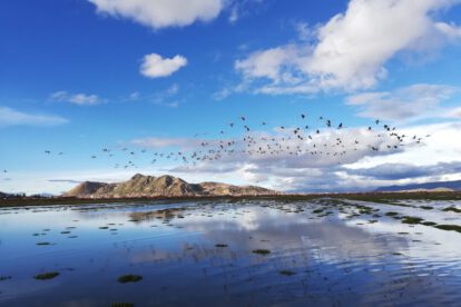 Día Internacional de la Fotografía en el Lago Uru - Uru