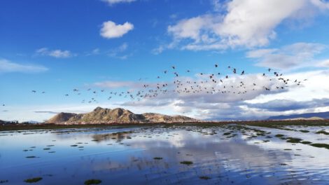 Día Internacional de la Fotografía en el Lago Uru - Uru