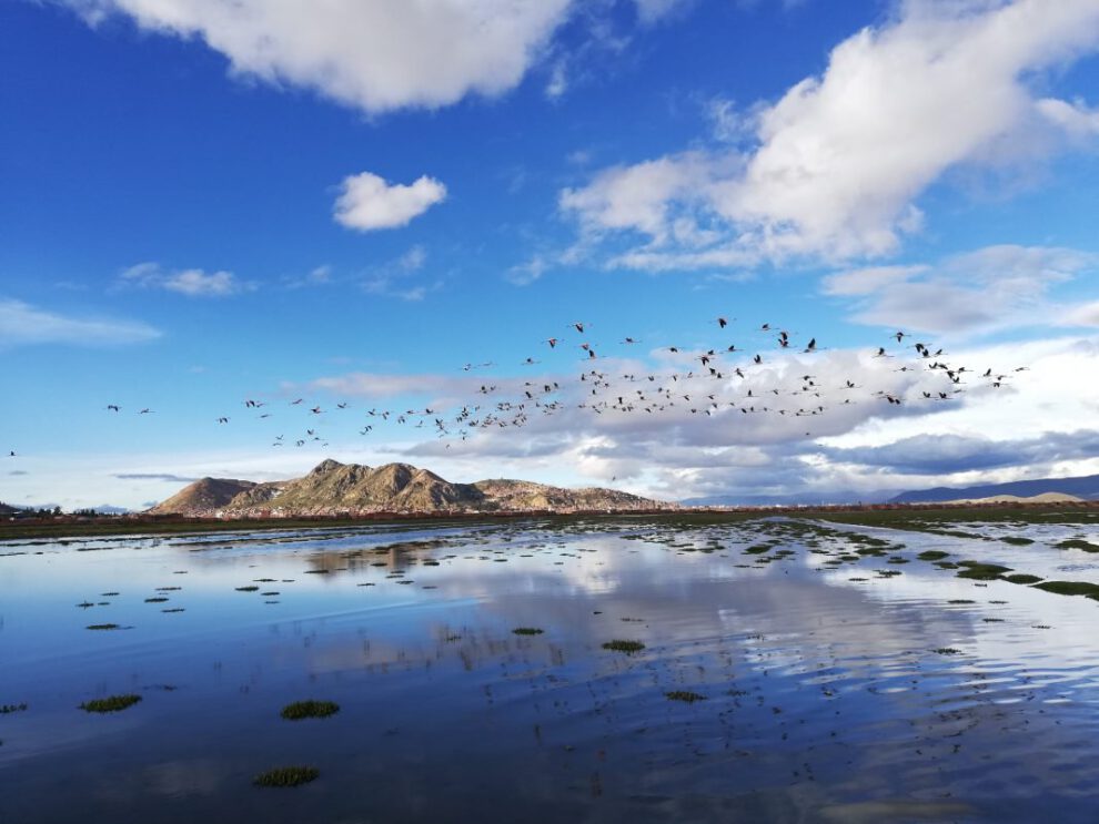 Día Internacional de la Fotografía en el Lago Uru - Uru