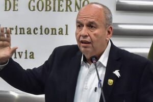 Ley inconstitucional según el Gobierno sobre la promulgación de leyes por Eva Copa