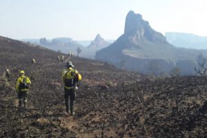 Incendios en la Chiquitanía afectan dos millones de hectáreas