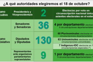 Elecciones Generales 2020 en Bolivia