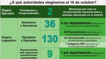 Elecciones Generales 2020 en Bolivia