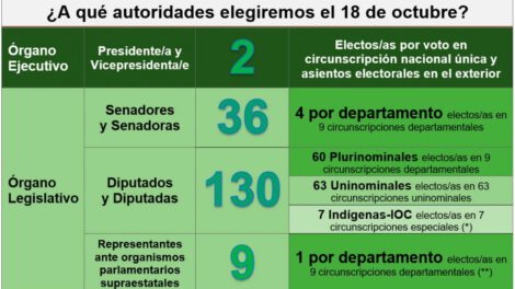 Elecciones Generales 2020 en Bolivia