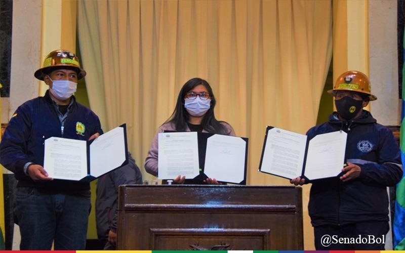 Leyes de contratos mineros promulgadas por Eva Copa