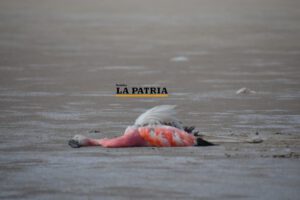 Proyecto hídrico Vilavilani II amenaza al lago Poopó
