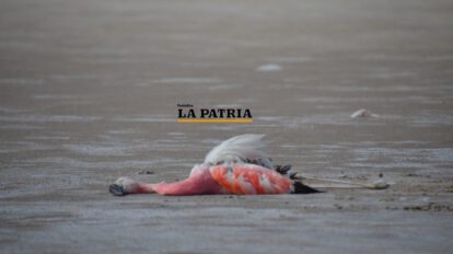 Proyecto hídrico Vilavilani II amenaza al lago Poopó