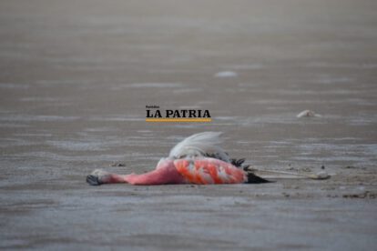 Proyecto hídrico Vilavilani II amenaza al lago Poopó
