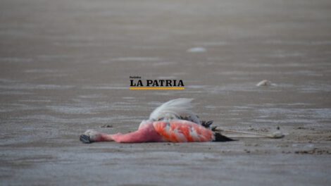 Proyecto hídrico Vilavilani II amenaza al lago Poopó