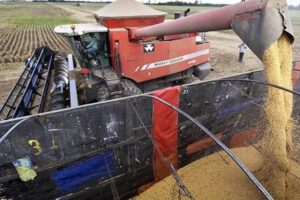 Importación de productos agropecuarios entre Perú y Bolivia