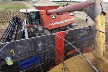 Importación de productos agropecuarios entre Perú y Bolivia