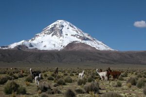 Deshielo en el Sajama y su cobertura de nieve