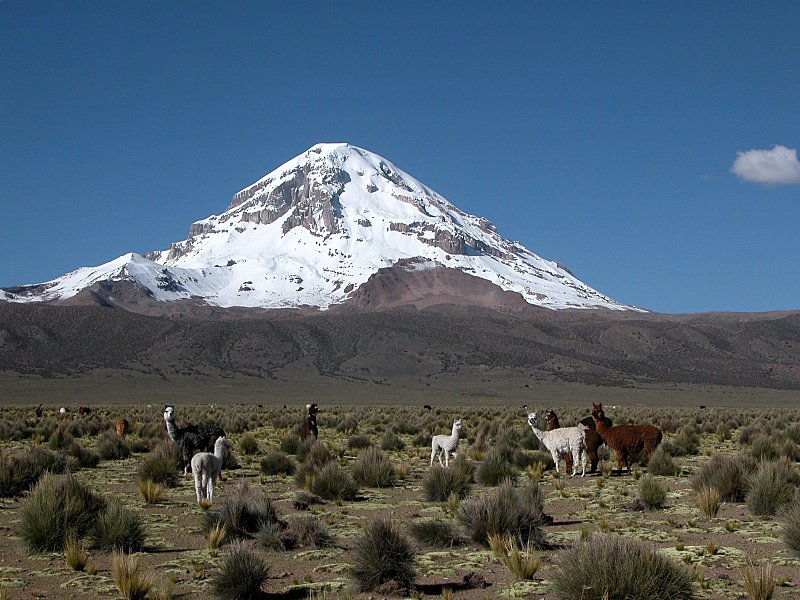 Deshielo en el Sajama y su cobertura de nieve