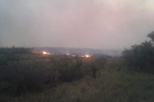 Incendio en Roboré arrasando tierras de la Chiquitanía