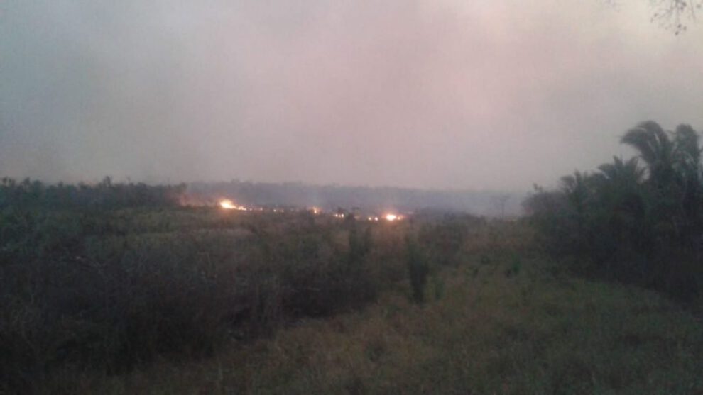 Incendio en Roboré arrasando tierras de la Chiquitanía