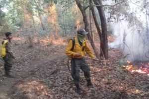 Incendios forestales en Santa Cruz