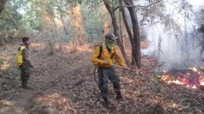 Incendios forestales en Santa Cruz