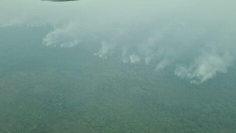 Incendio en el parque Noel Kempff avanza lento y podría ser controlado