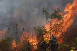 Emergencia por incendios en Santa Cruz