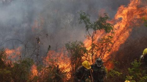 Emergencia por incendios en Santa Cruz