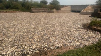Desastre ambiental río Pilcomayo