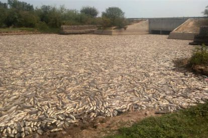 Desastre ambiental río Pilcomayo