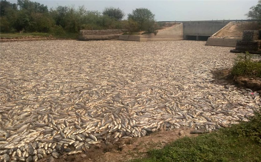 Desastre ambiental río Pilcomayo