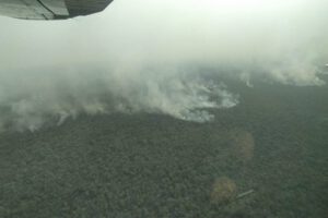 Incendios forestales en San Matías