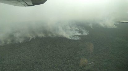 Incendios forestales en San Matías