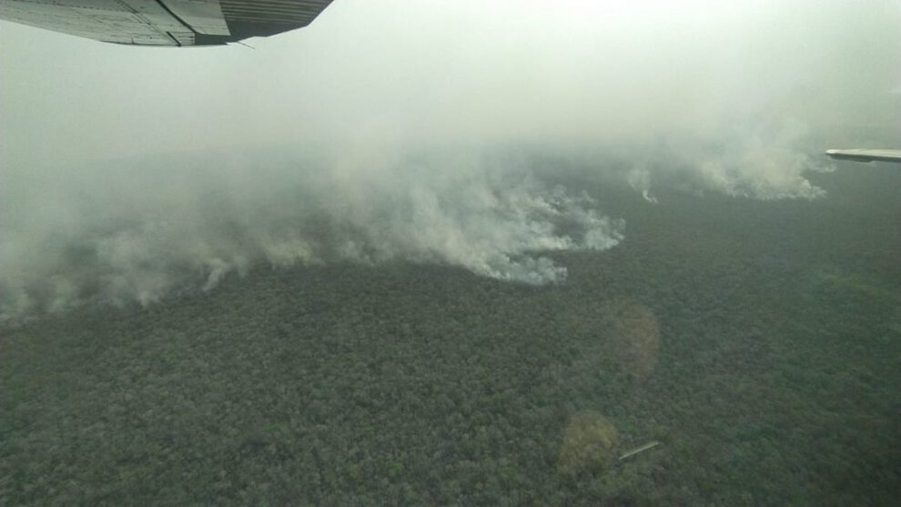 Incendios forestales en San Matías