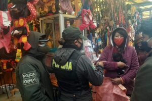 Rescate de cachorros por la Policía Forestal en Oruro