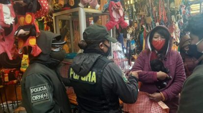 Rescate de cachorros por la Policía Forestal en Oruro