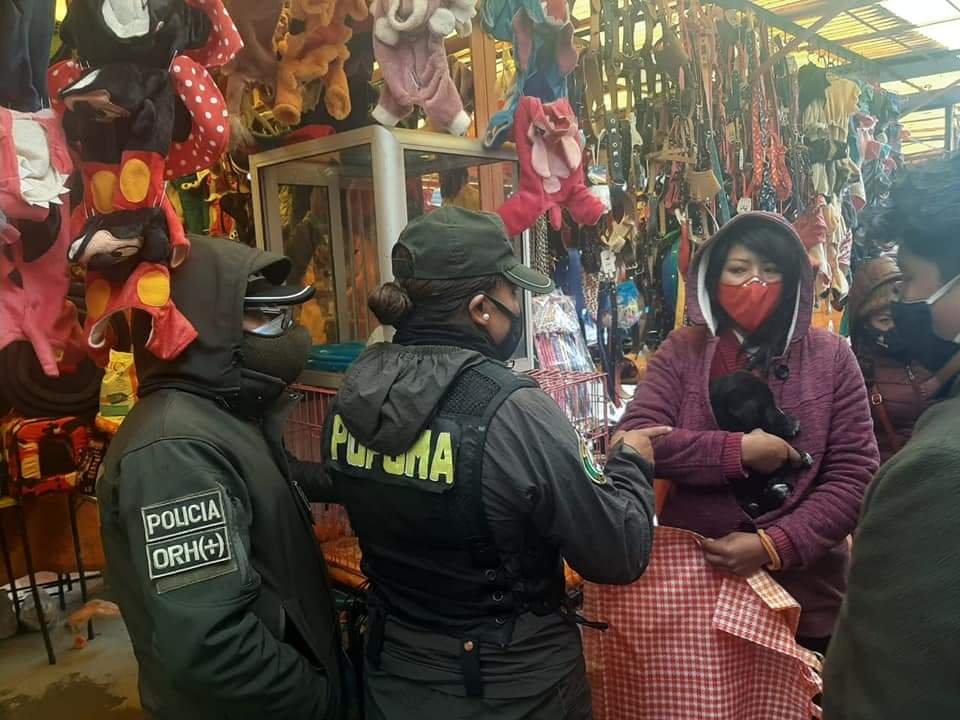 Rescate de cachorros por la Policía Forestal en Oruro