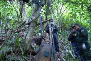 El supuesto cadáver de Clavijo en el caso Clavijo
