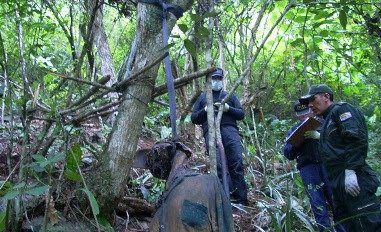 El supuesto cadáver de Clavijo en el caso Clavijo