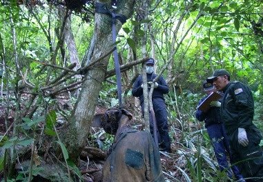 El supuesto cadáver de Clavijo en el caso Clavijo