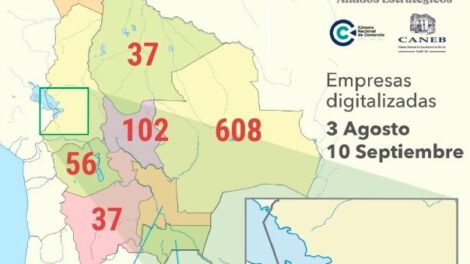 Digitalización de pequeñas empresas en Bolivia