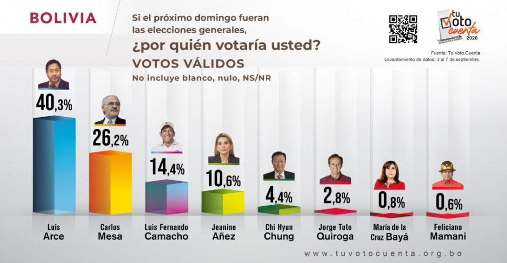 Encuesta de proyección de votos válidos sobre Luis Arce en elecciones