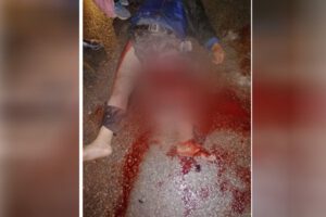 Concejal en estado de ebriedad mata a un hombre de 60 años tras embestirlo