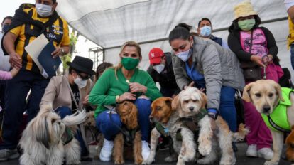 Reglamentación de la Ley de Protección Animal anunciada por la Presidente